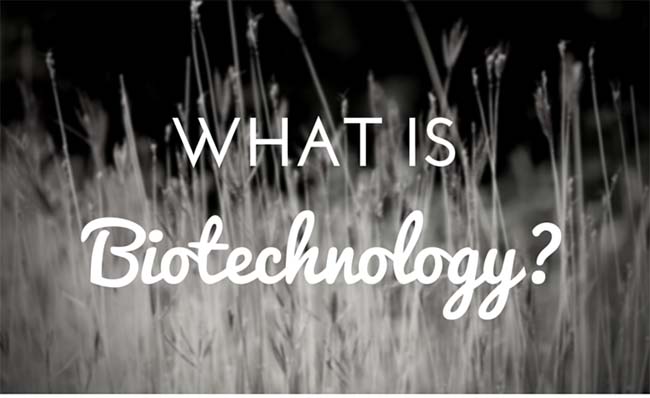 apa itu bioteknologi